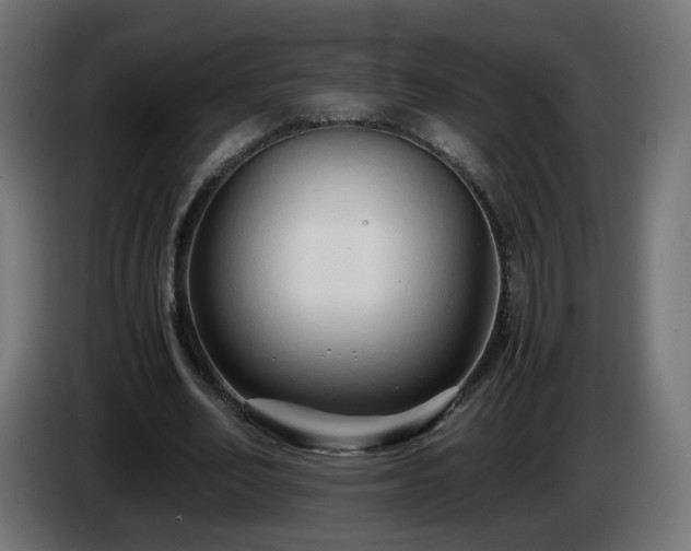 X0000084550582200703021508
