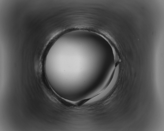X0000084550584200703021508