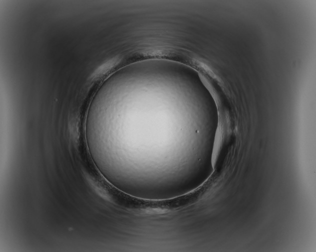 X0000084550586200703021508