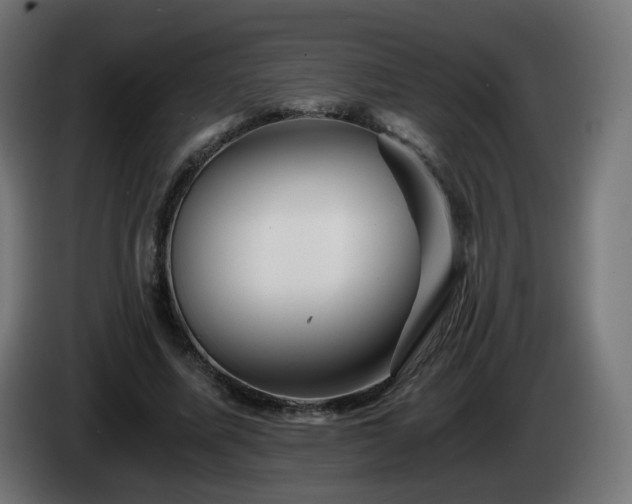 X0000084550587200703021508
