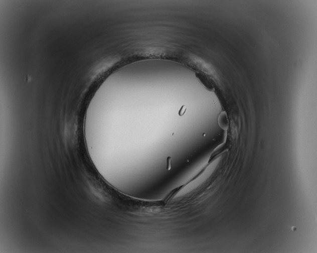X0000084550588200703021508
