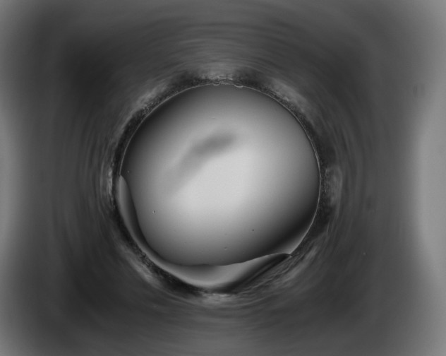 X0000084550589200703021508
