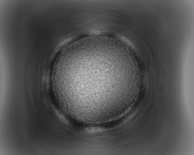 X0000084550590200703021508