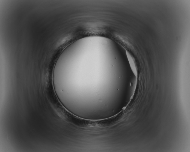 X0000084550591200703021508