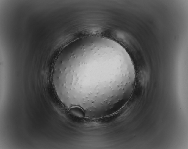X0000084550594200703021508