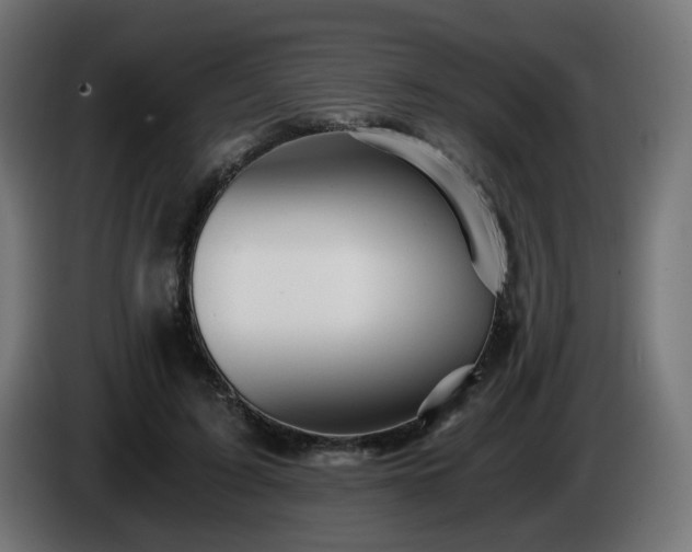 X0000084550595200703021508