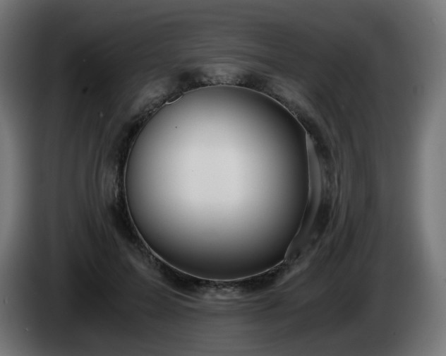 X0000084550599200703021507