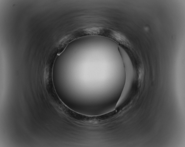 X0000084550600200703021507