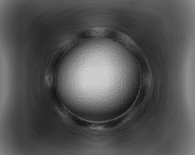 X0000084550602200703021507
