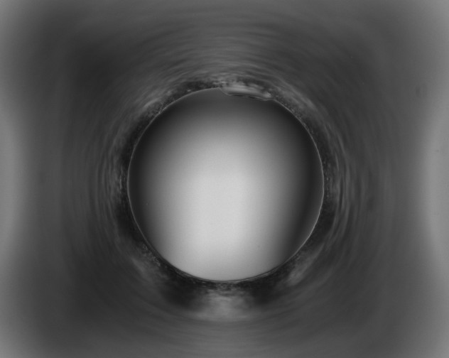 X0000084550603200703021507