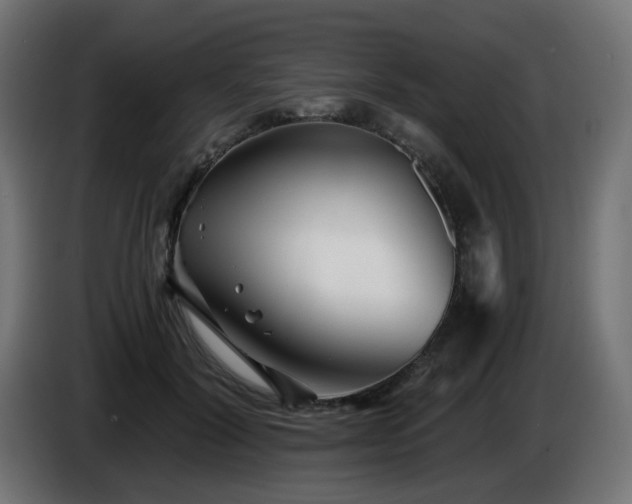 X0000084550604200703021507