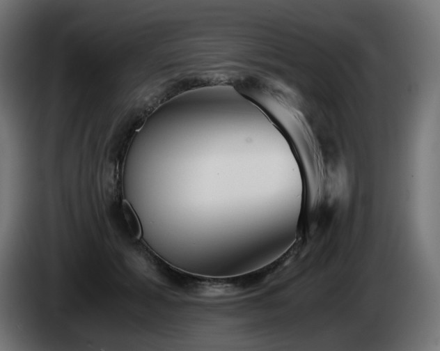 X0000084550605200703021507