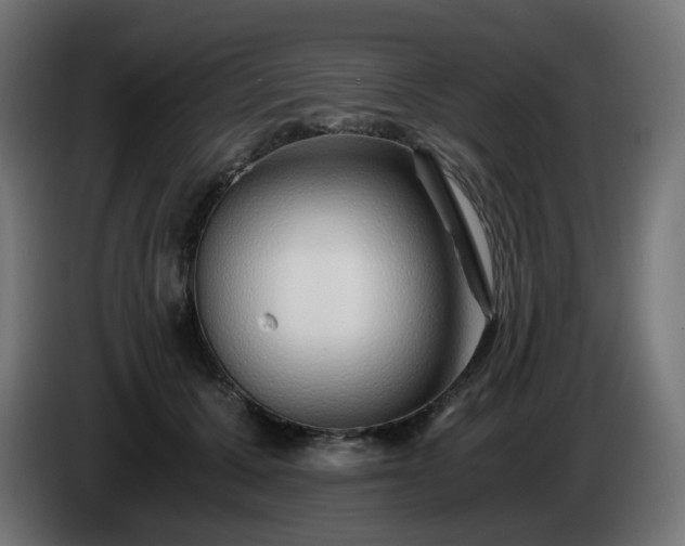 X0000084550607200703021507