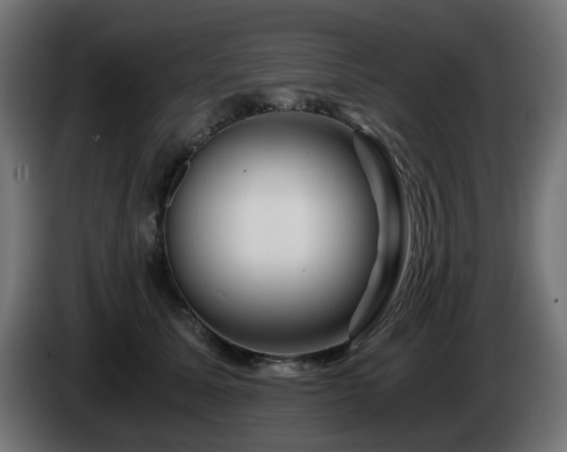 X0000084550611200703021507