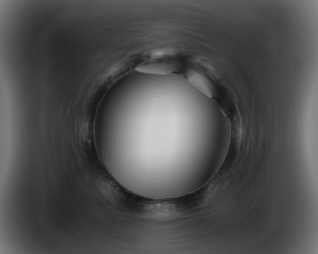X0000084550619200703021507