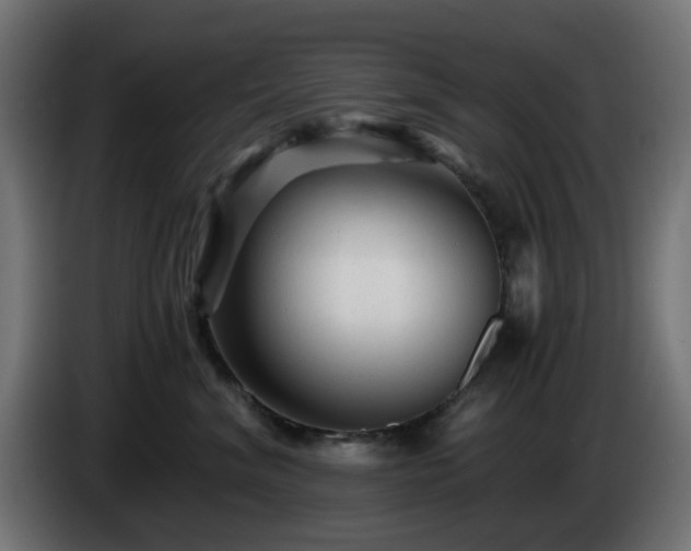 X0000084550620200703021507