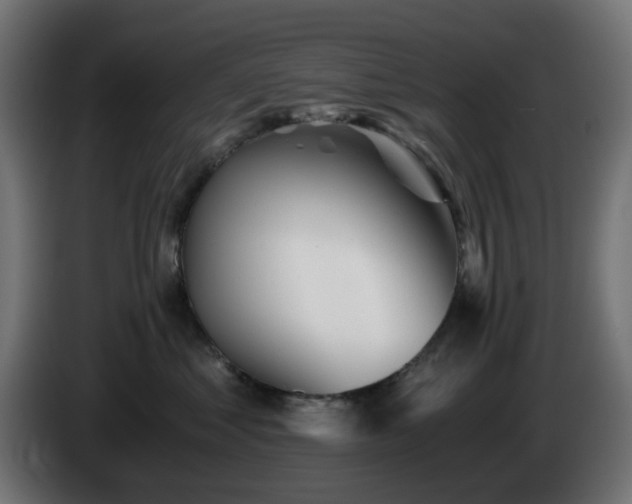 X0000084550621200703021507