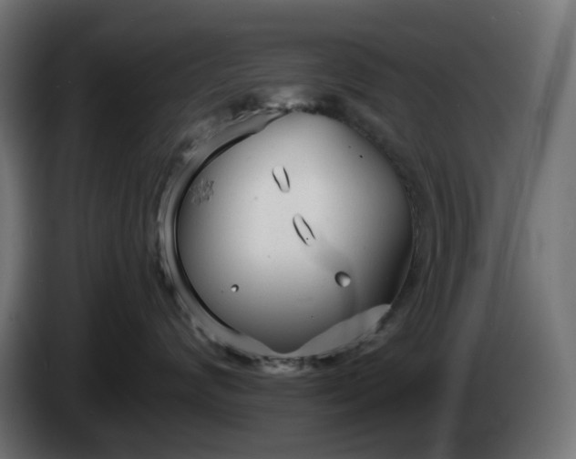 X0000084550624200703021507