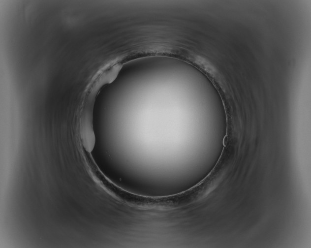 X0000084550625200703021506