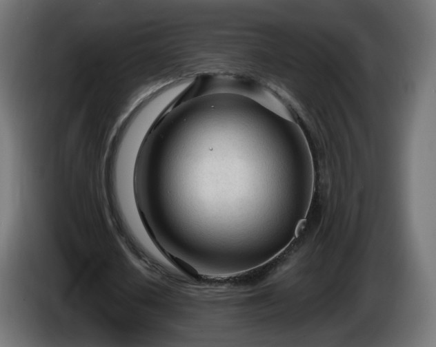 X0000084550626200703021506