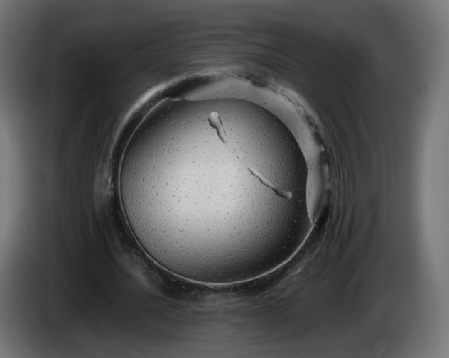 X0000084550628200703021506