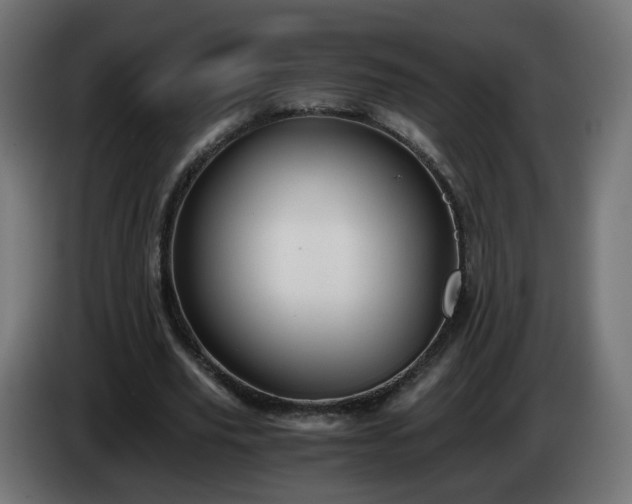 X0000084550629200703021506