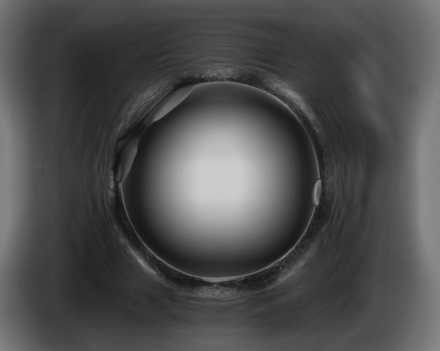 X0000084550633200703021507
