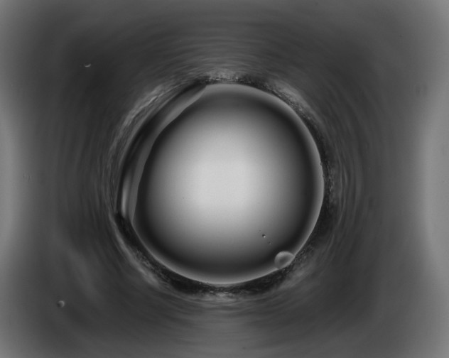 X0000084550634200703021507