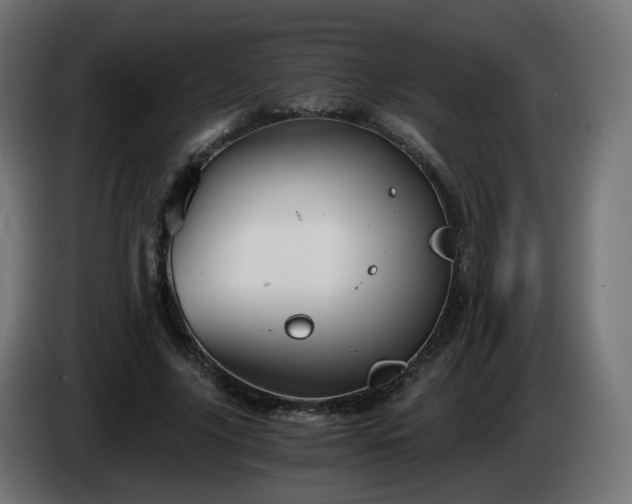 X0000084550635200703021507