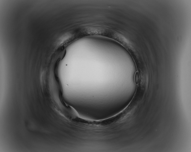 X0000084550637200703021507