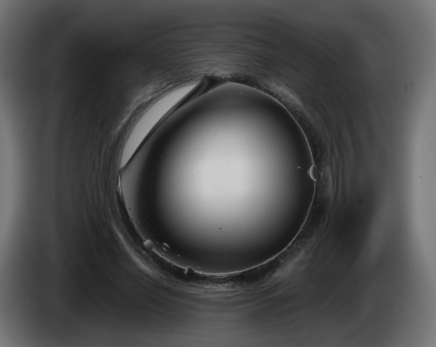 X0000084550638200703021507