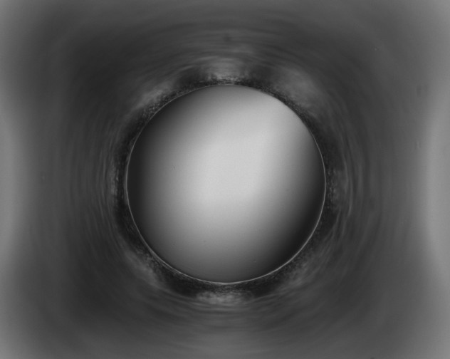 X0000084550639200703021507