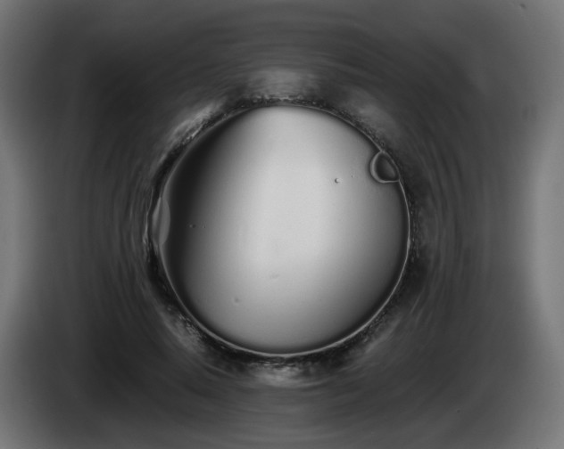 X0000084550640200703021507