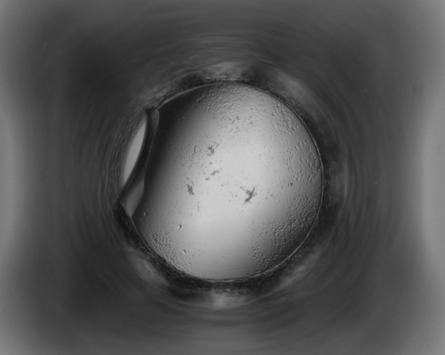 X0000084550641200703021507