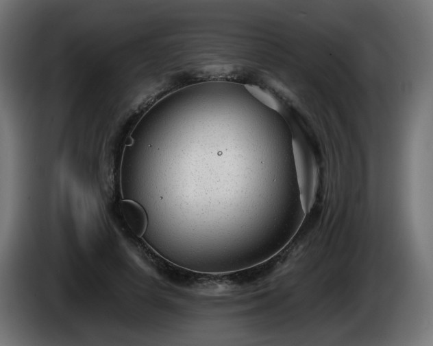X0000084550642200703021507