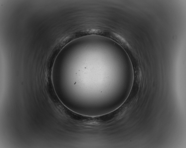 X0000084550643200703021507