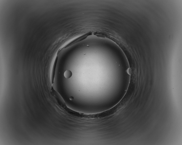 X0000084550644200703021507