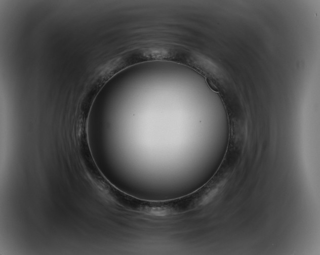 X0000084550645200703021507