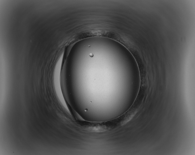X0000084550646200703021507