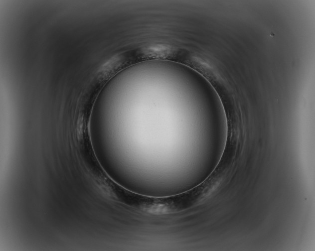 X0000084550647200703021507