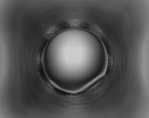 X0000084550648200703021507