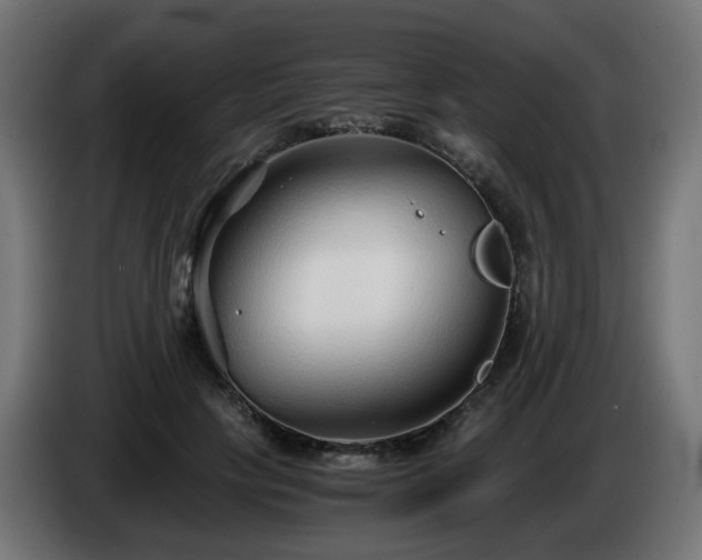 X0000084550649200703021507