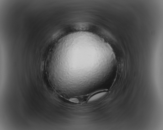 X0000084550652200703021507