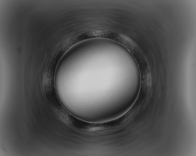 X0000084550653200703021507