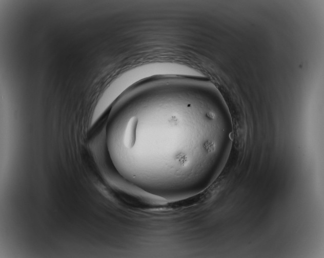 X0000084550654200703021507
