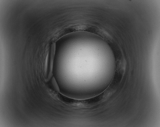 X0000084550655200703021507