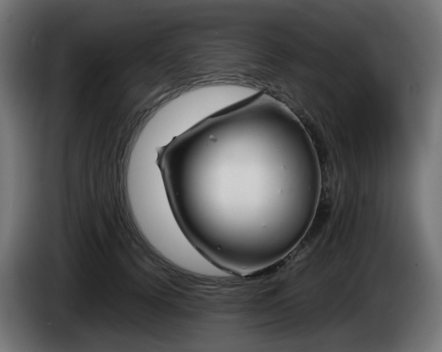 X0000084550656200703021507