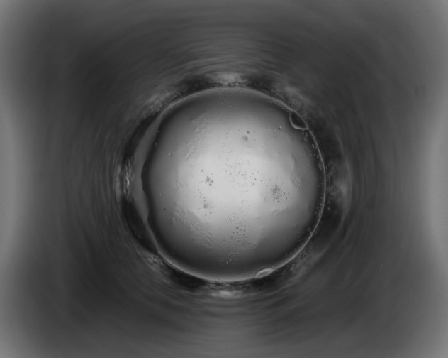 X0000084550658200703021507