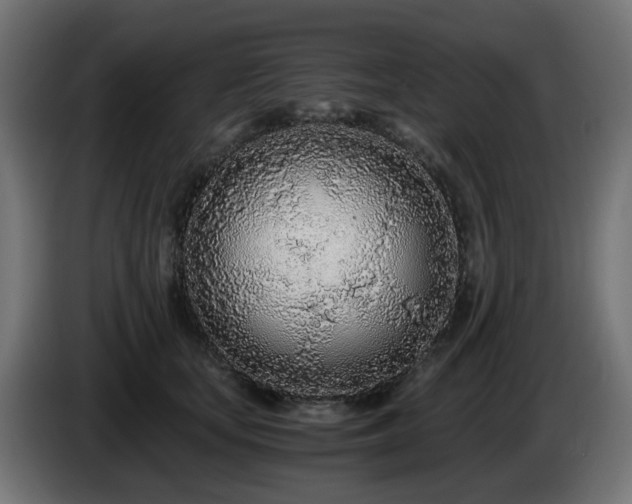 X0000084550659200703021507