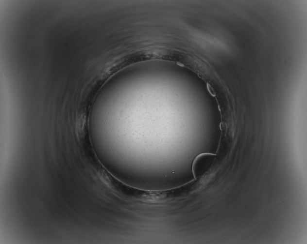 X0000084550660200703021507